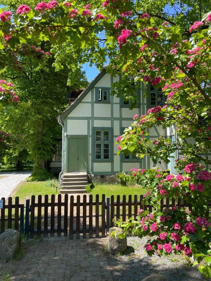 Jagdschloss Friedrichsmoor 纽斯塔德勒维 外观 照片